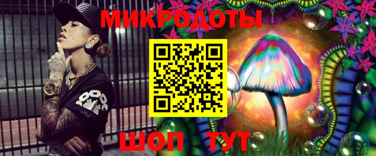 Псилоцибиновые грибы Psilocybe Астрахань