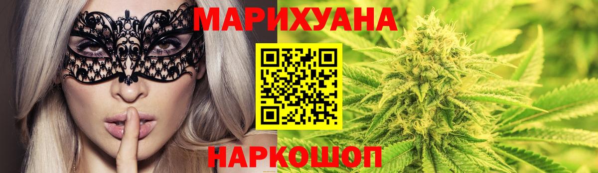 Конопля сатива Астрахань